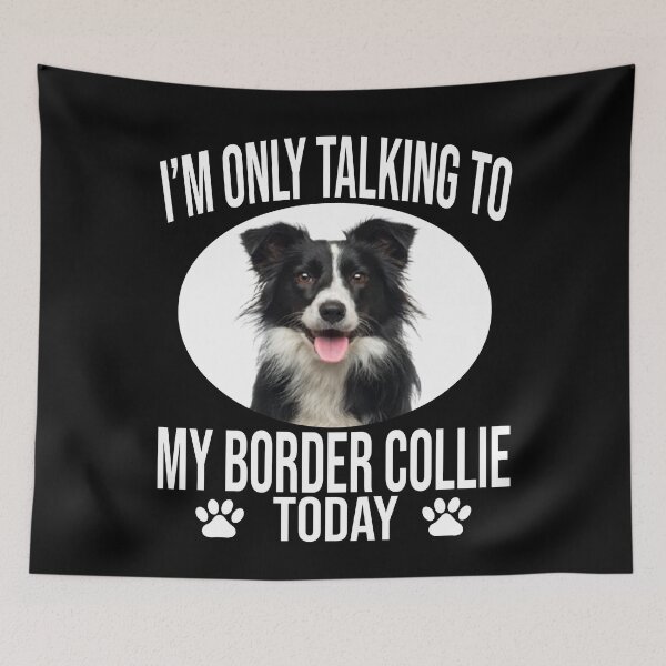 Item preview, funny border collie dog gift i m only talking to my border collie today designed and sold by alaechamlal.