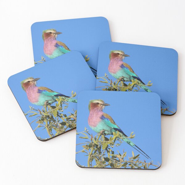 Item preview, Lilac-breasted Roller designed and sold by Wouter van Spijker.