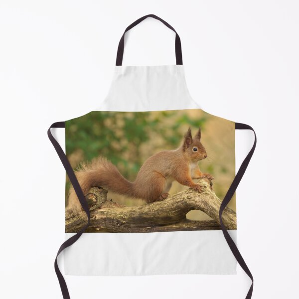 Item preview, Red Squirrel designed and sold by Macrae images.