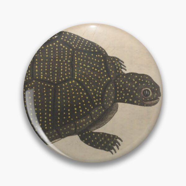 Item preview, Naturalist Turtle designed and sold by BlueSpecsStudio.