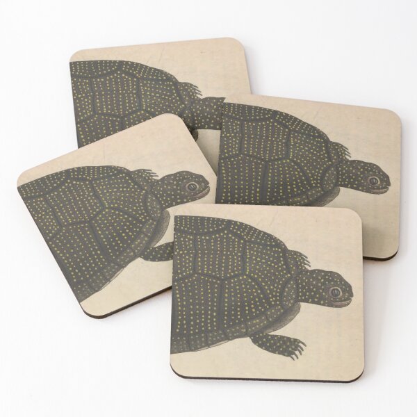 Item preview, Naturalist Turtle designed and sold by BlueSpecsStudio.