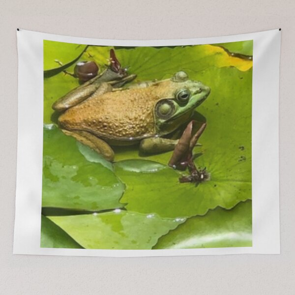 Item preview, Froggy Feelings designed and sold by IslandSun808.