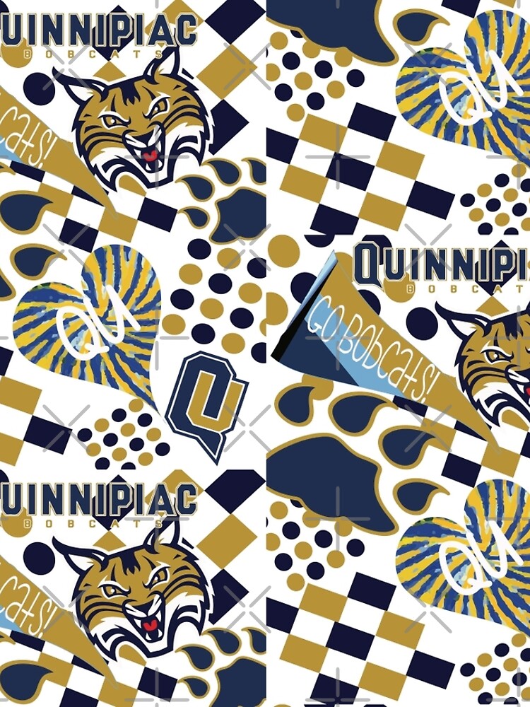 Quinnipiac University Collage by emilyosman