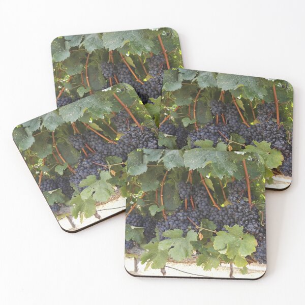 Item preview, Wine grapes in Western Cape South Africa designed and sold by wineandwords.