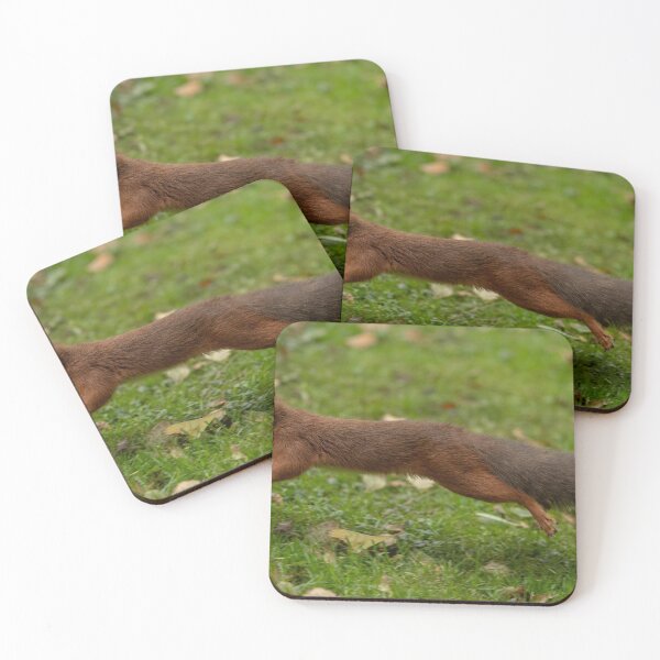 Item preview, Red squirrel running designed and sold by wildlifephoto.