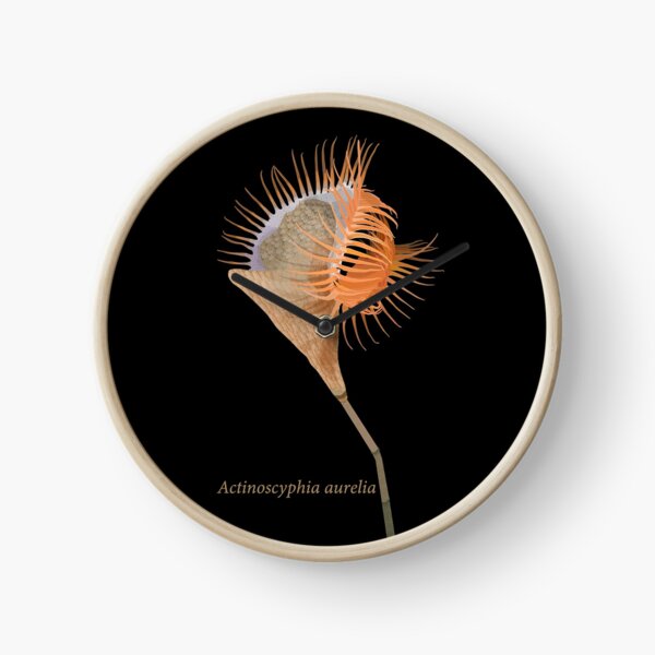 Item preview, Venus flytrap sea anemone- Actinoscyphia aurelia designed and sold by birdoptera.