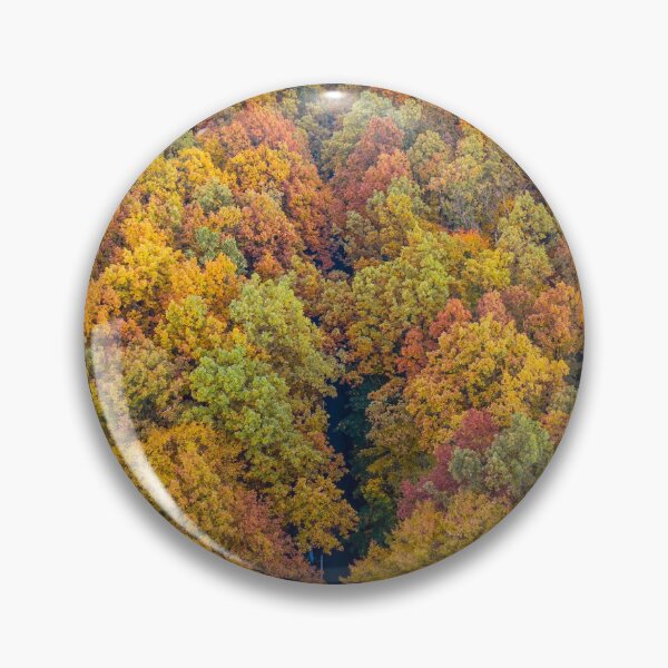 Item preview, Aerial view of road through colorful autumn forest designed and sold by Lukasz Szczepanski.