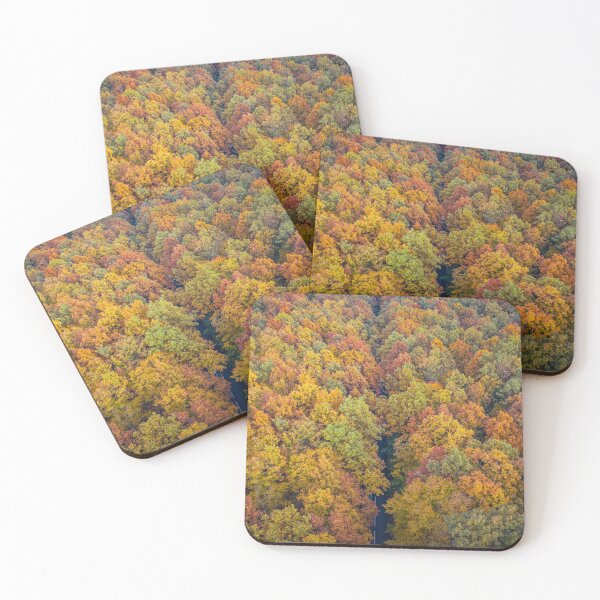 Item preview, Aerial view of road through colorful autumn forest designed and sold by Lukasz Szczepanski.