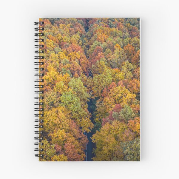 Item preview, Aerial view of road through colorful autumn forest designed and sold by Lukasz Szczepanski.