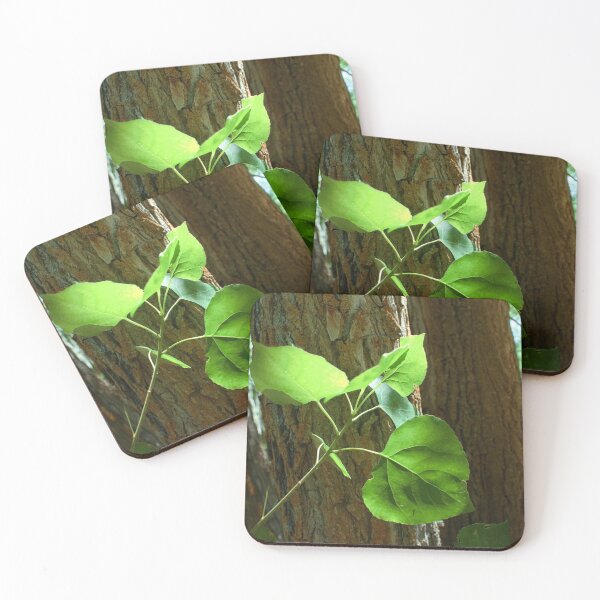 Item preview, Colorful macro photography of wild mountain flowers and green plant designed and sold by Ventures1.
