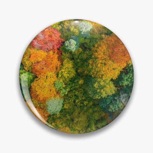 Item preview, Aerial top down view of vibrant colorful autumn forest designed and sold by Lukasz Szczepanski.