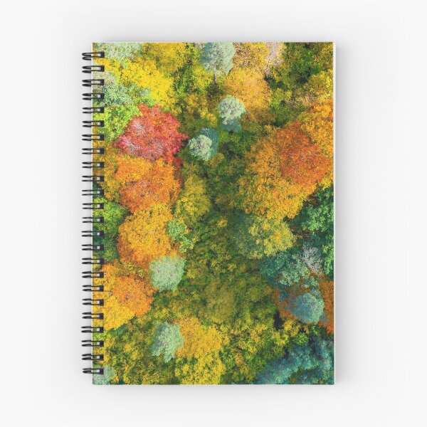 Item preview, Aerial top down view of vibrant colorful autumn forest designed and sold by Lukasz Szczepanski.