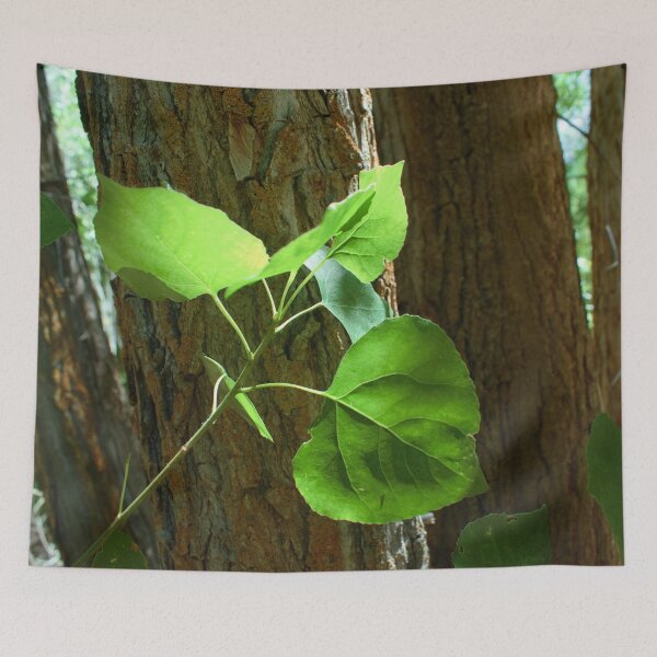 Item preview, Colorful macro photography of wild mountain flowers and green plant designed and sold by Ventures1.