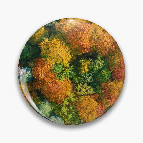 Item preview, Aerial top down view of vibrant colorful autumn forest designed and sold by Lukasz Szczepanski.