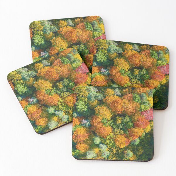 Item preview, Aerial top down view of vibrant colorful autumn forest designed and sold by Lukasz Szczepanski.