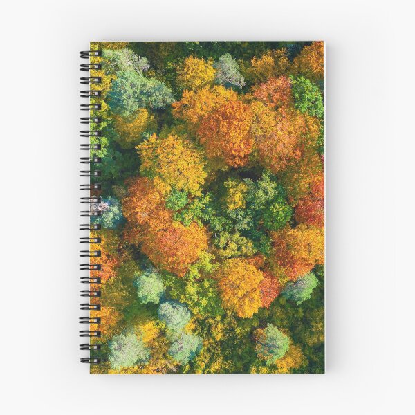 Item preview, Aerial top down view of vibrant colorful autumn forest designed and sold by Lukasz Szczepanski.