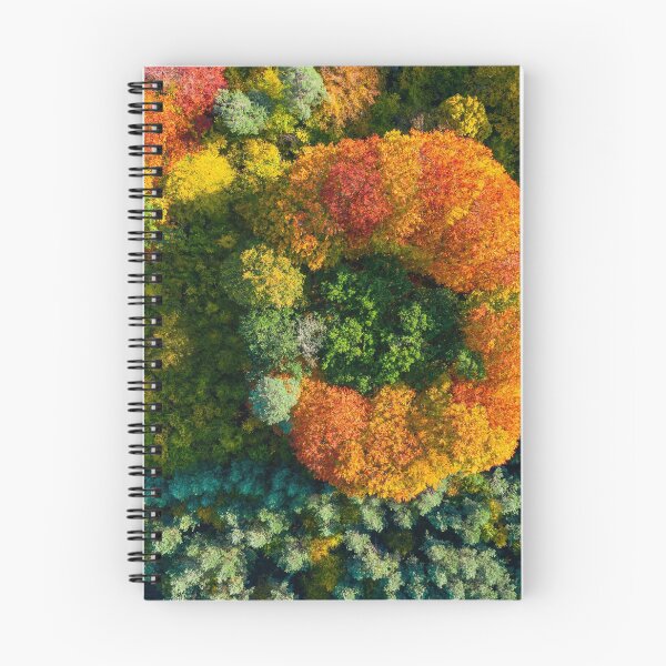 Item preview, Aerial top down view of vibrant colorful autumn forest designed and sold by Lukasz Szczepanski.