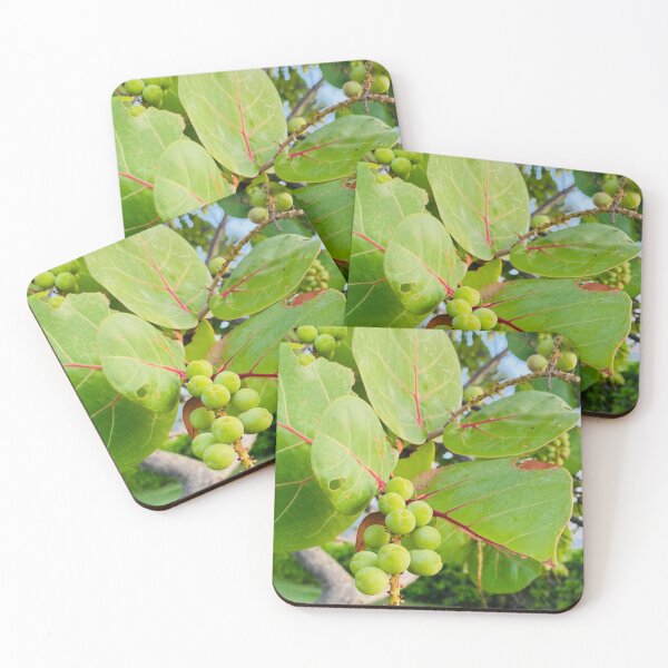 Item preview, Island tree treasure! designed and sold by IslandSun808.