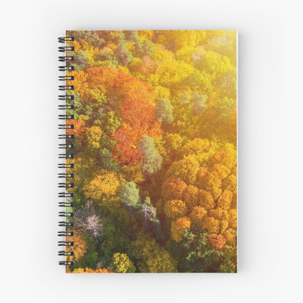 Item preview, Aerial view of color autumn forest and sunset designed and sold by Lukasz Szczepanski.