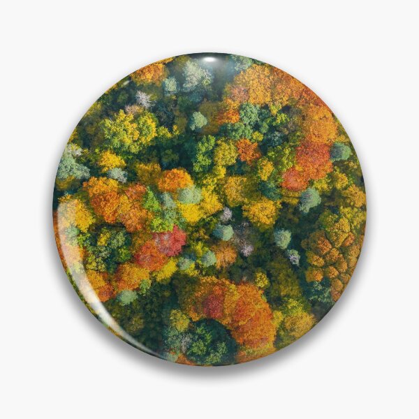 Item preview, Aerial top down view of vibrant colorful autumn forest designed and sold by Lukasz Szczepanski.