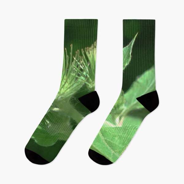 Item preview, Colorful macro photography of wild mountain flowers and green plant designed and sold by Ventures1.