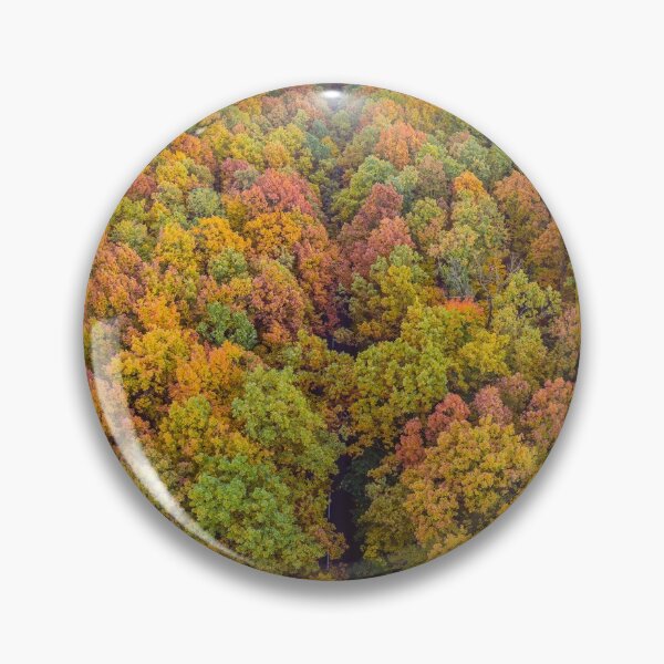 Item preview, Aerial top down vertical panorama of road through the autumn forest designed and sold by Lukasz Szczepanski.