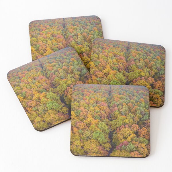 Item preview, Aerial top down vertical panorama of road through the autumn forest designed and sold by Lukasz Szczepanski.