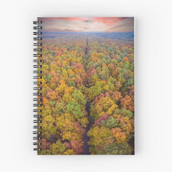 Item preview, Aerial top down vertical panorama of road through the autumn forest designed and sold by Lukasz Szczepanski.