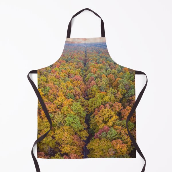 Item preview, Aerial top down vertical panorama of road through the autumn forest designed and sold by Lukasz Szczepanski.