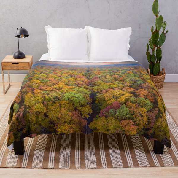 Item preview, Aerial top down vertical panorama of road through the autumn forest designed and sold by Lukasz Szczepanski.