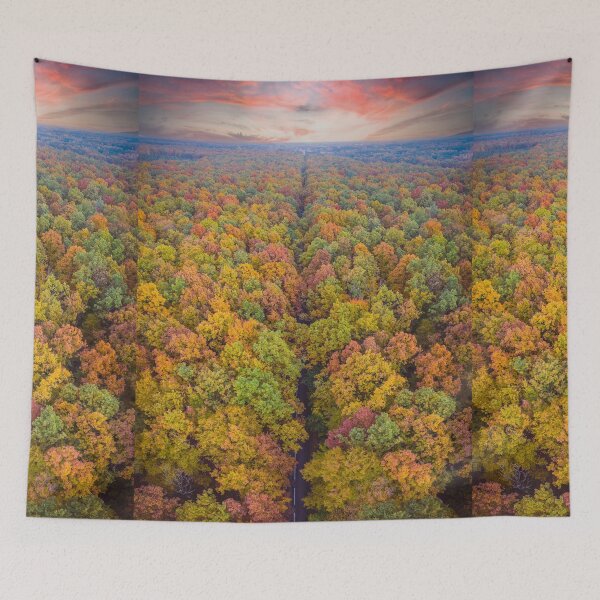 Item preview, Aerial top down vertical panorama of road through the autumn forest designed and sold by Lukasz Szczepanski.