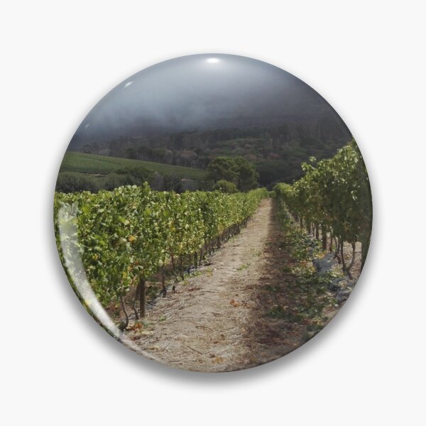 Item preview, Vineyard in the mist Western Cape South Africa designed and sold by wineandwords.