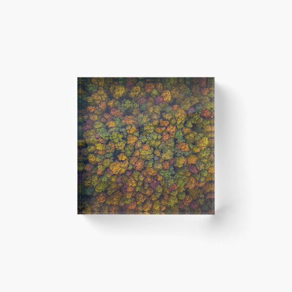 Item preview, Aerial top down view of vibrant colorful autumn forest designed and sold by Lukasz Szczepanski.