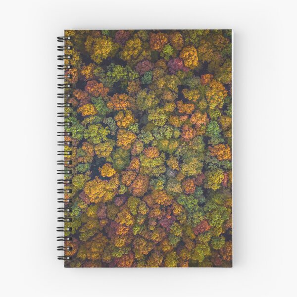 Item preview, Aerial top down view of vibrant colorful autumn forest designed and sold by Lukasz Szczepanski.