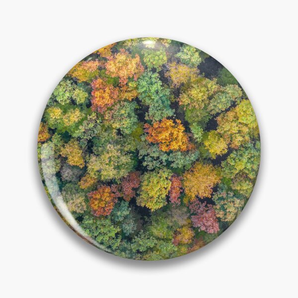 Item preview, Aerial view of color autumn forest designed and sold by Lukasz Szczepanski.