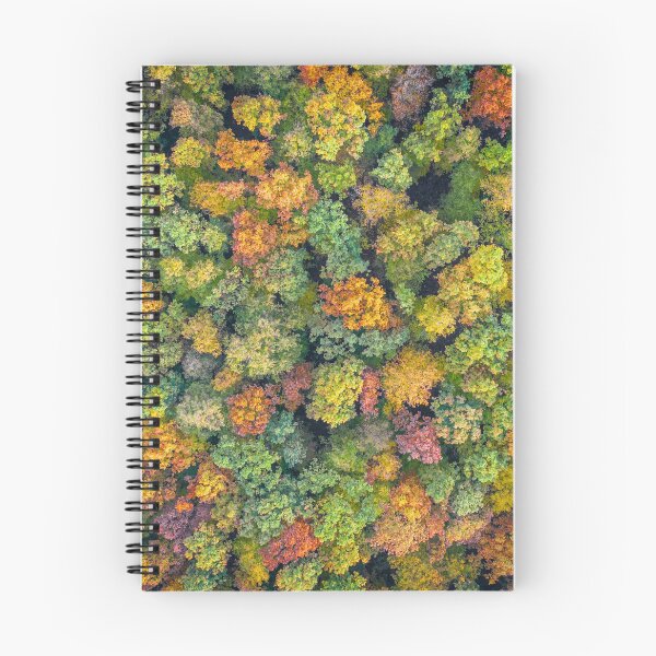 Item preview, Aerial view of color autumn forest designed and sold by Lukasz Szczepanski.