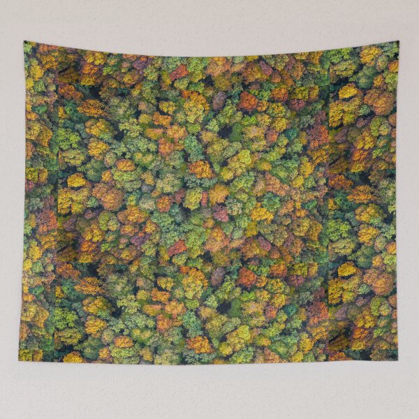 Item preview, Aerial view of color autumn forest designed and sold by Lukasz Szczepanski.