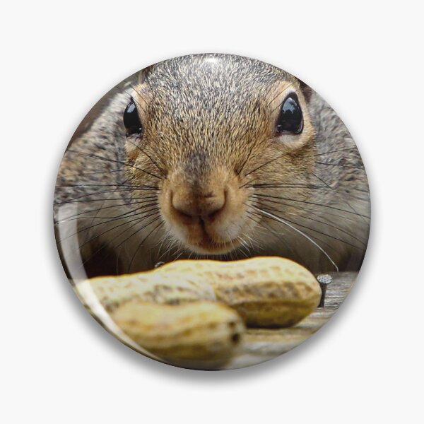 Item preview, Nutty Squirrel designed and sold by Pinapple91.