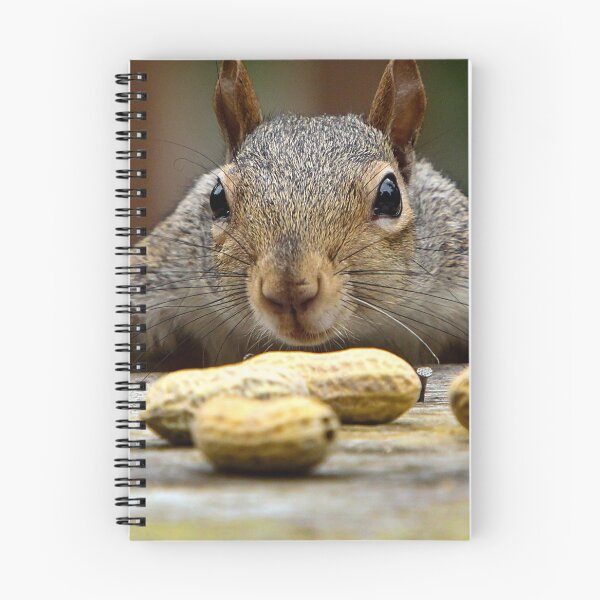 Item preview, Nutty Squirrel designed and sold by Pinapple91.