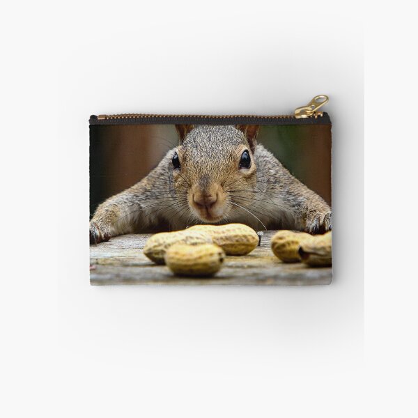 Item preview, Nutty Squirrel designed and sold by Pinapple91.