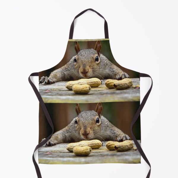Item preview, Nutty Squirrel designed and sold by Pinapple91.