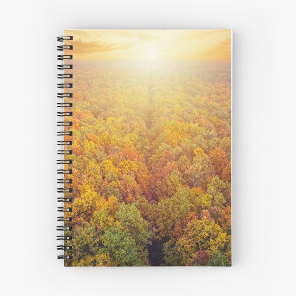 Item preview, Aerial view of road through colorful autumn forest and beautiful sunset designed and sold by Lukasz Szczepanski.