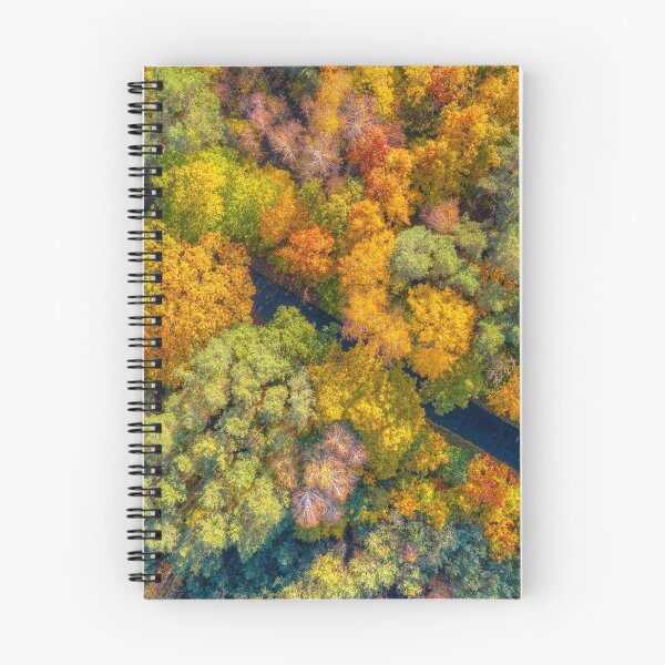 Item preview, Aerial view of road through colorful autumn forest designed and sold by Lukasz Szczepanski.
