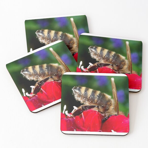 Item preview, In deep designed and sold by angel1.