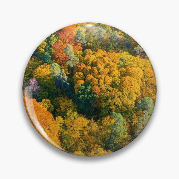 Item preview, Aerial panoramic view of vibrant colorful autumn forest designed and sold by Lukasz Szczepanski.