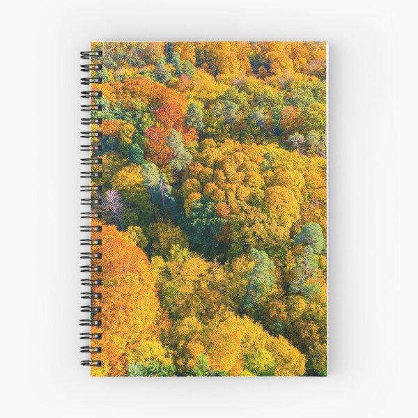 Item preview, Aerial panoramic view of vibrant colorful autumn forest designed and sold by Lukasz Szczepanski.