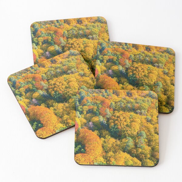 Item preview, Aerial panoramic view of vibrant colorful autumn forest designed and sold by Lukasz Szczepanski.