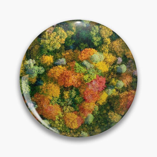Item preview, Aerial top down view of vibrant colorful autumn forest designed and sold by Lukasz Szczepanski.