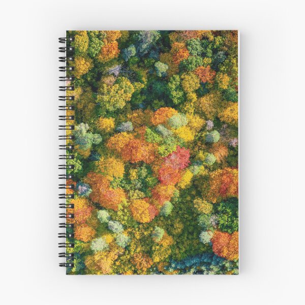 Item preview, Aerial top down view of vibrant colorful autumn forest designed and sold by Lukasz Szczepanski.