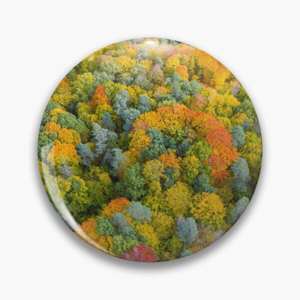 Item preview, Aerial vertical panoramic view of vibrant color autumn forest designed and sold by Lukasz Szczepanski.